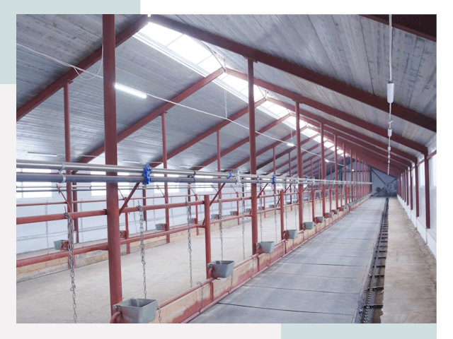 Строительство коровников в Челябинске от 619 руб.